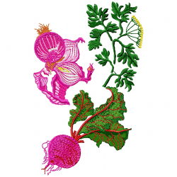 Vegetable Embroidery Design 9